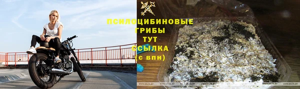 каннабис Осташков