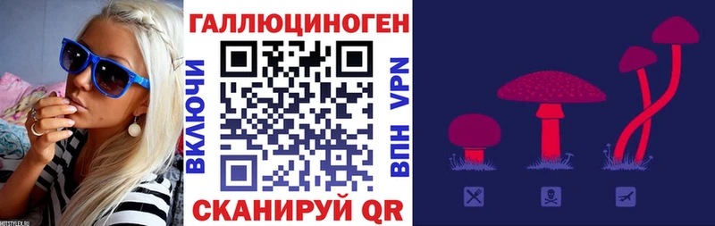 Галлюциногенные грибы Psilocybine cubensis  hydra маркетплейс  Балаково 